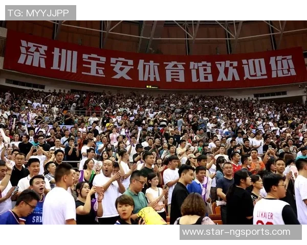 运动最新数据深圳排球队在排球配合上取得历史新高展现团队实力与创新精神